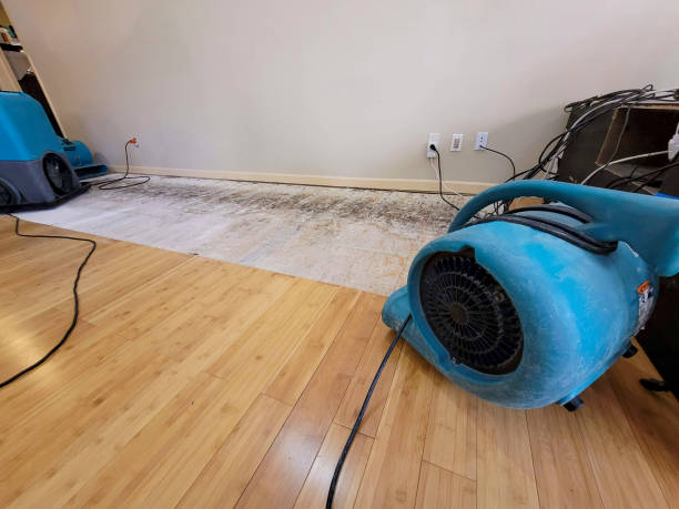 Professional Water Damage Repair technician working in Mentone, IN